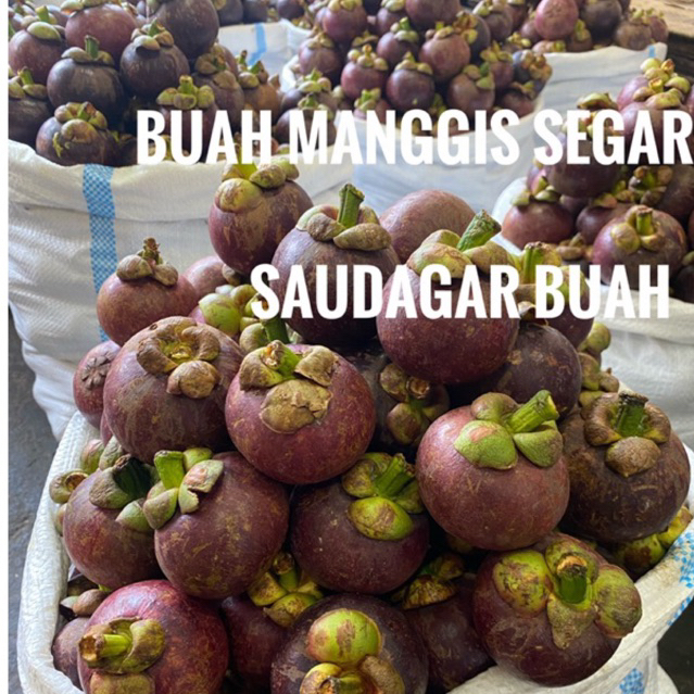 

BUAH MANGGIS SEGAR 1KG