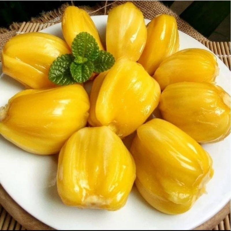 

Nangka Kupas Manis