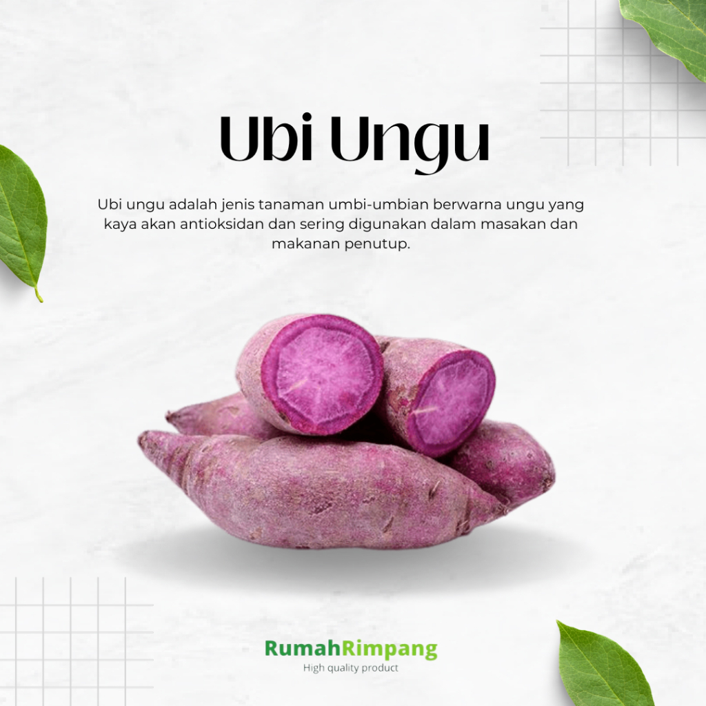 

[BISA INSTAN] JUAL UBI UNGU FRESH - KEMASAN 1 KG