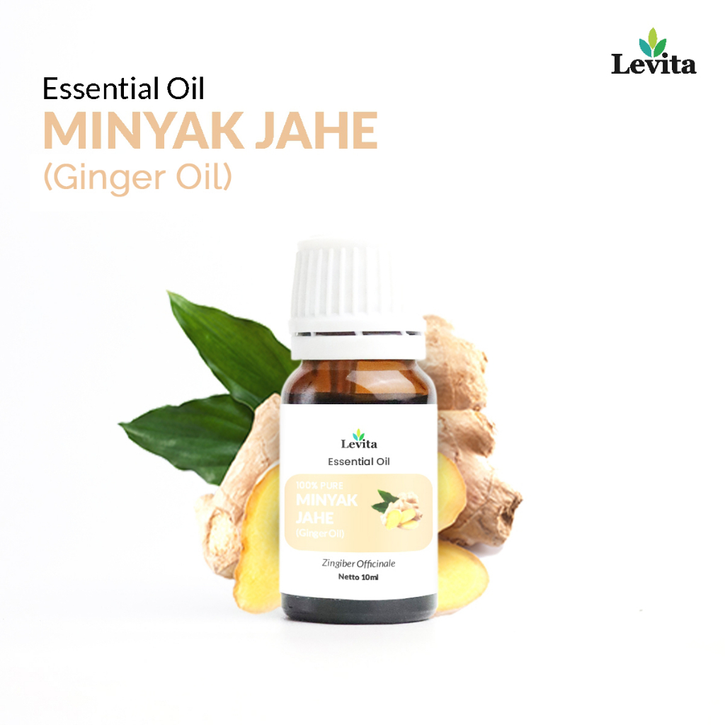 Levita Minyak Jahe Murni Ginger Oil - Pure Minyak Atsiri Murni Essential Oil Aromaterapi