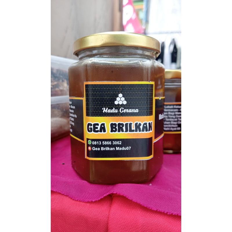 

Madu cerana gentengan/tawon