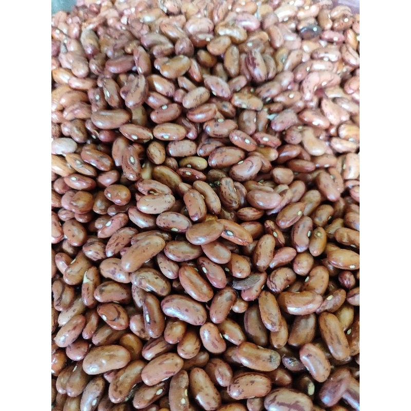 

Kacang merah 1kg