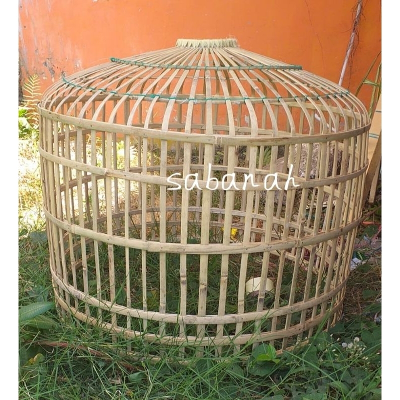 Kandang Kurungan Bambu pilihan, Ayam Jago/Bangkok dan Semua Jenis ayam Besar dan remaja