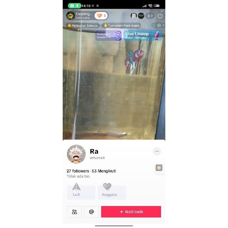 red guardian & barongsai