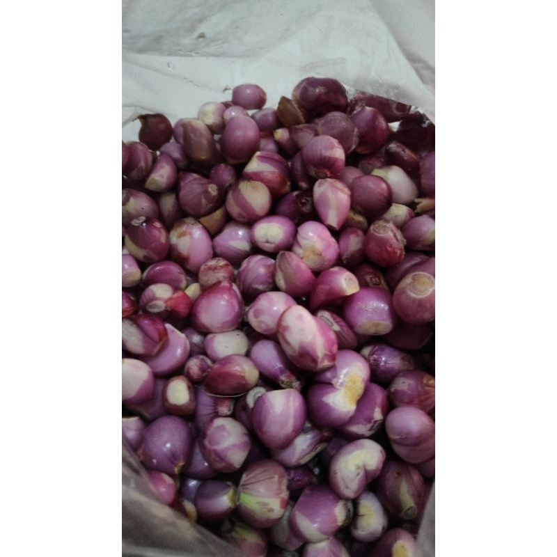 

Bawang Merah Jawa