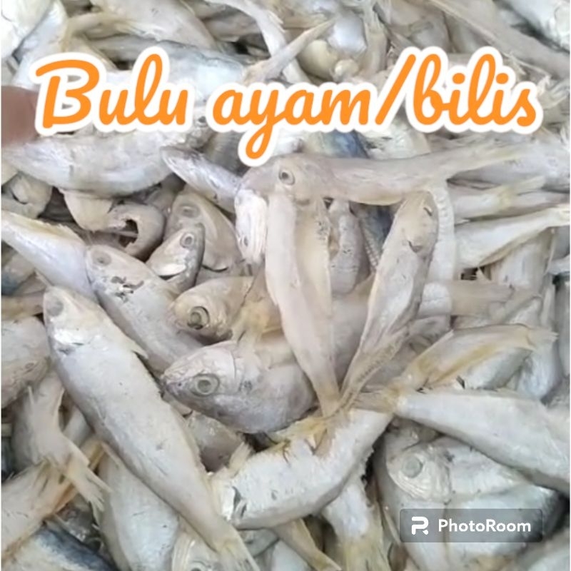 

IKAN ASIN BULU AYAM SAMPAH/BILIS BILIS 1 KG