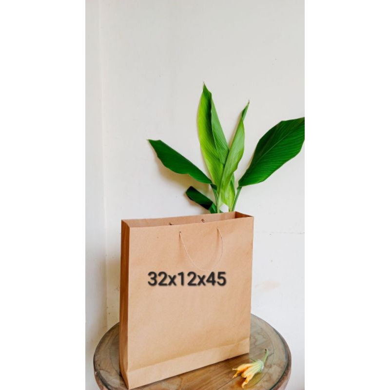 

Paper bag 32x12x45cm