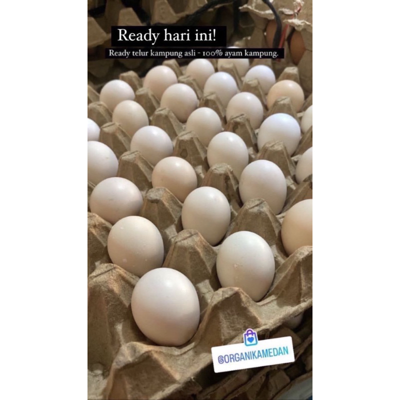 

Telur Ayam Kampung asli 1ppn 30butir