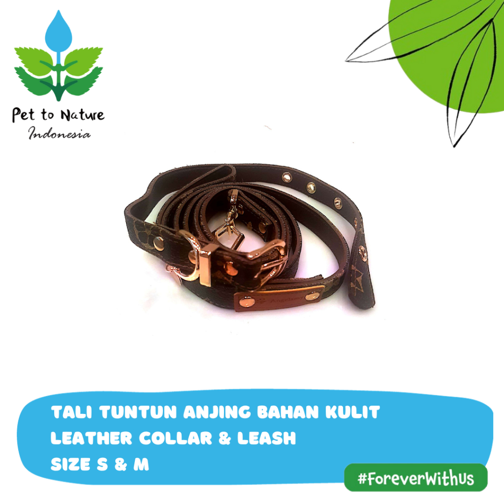 Tali Tuntun dan Kalung Anjing Kulit | Leather Collar and Leash for Dog