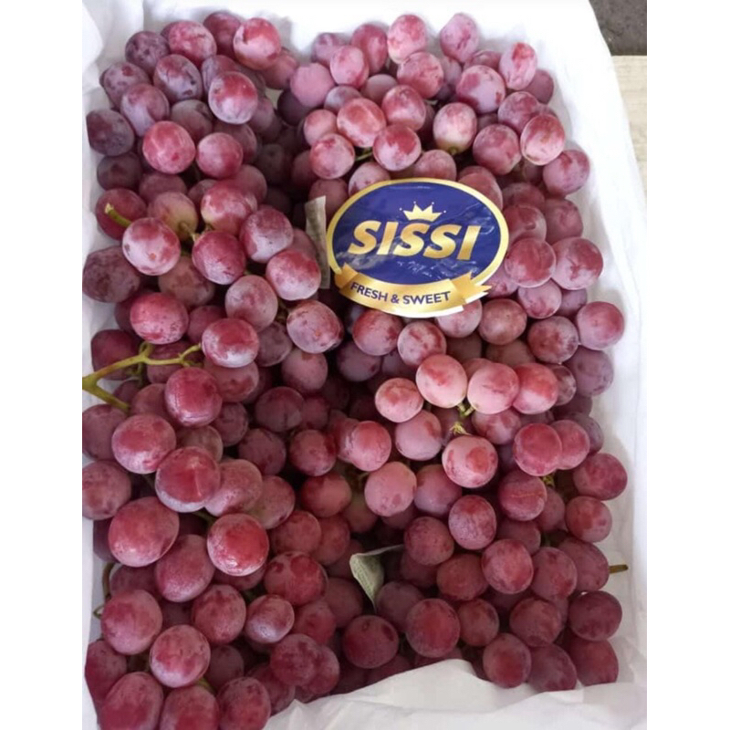 

Anggur Red Globe (6.5 KG) Fresh Import