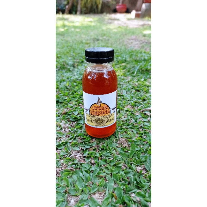 

Madu Trigona/Klanceng (100 ML)