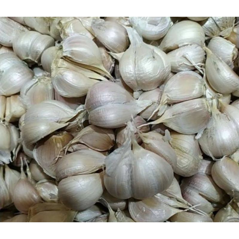 

bawang putih
