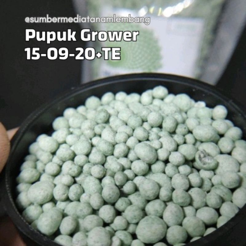 Pupuk NPK Grower Bunga dan Buah