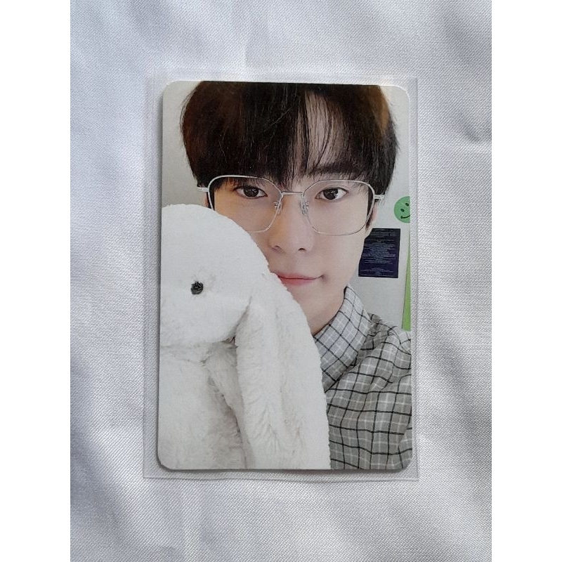 PHOTOCARD PC DOYOUNG NCT PC DOY BONEKA KELINCI PC NCIT PHOTOPACK DAY VERSION