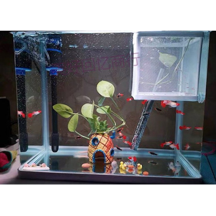Box Karantina Ikan Net Breeder Breeding Jaring Pemisah Karantina Ikan