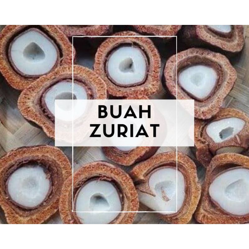 Buah Zuriat Promil , harga satuan / buah