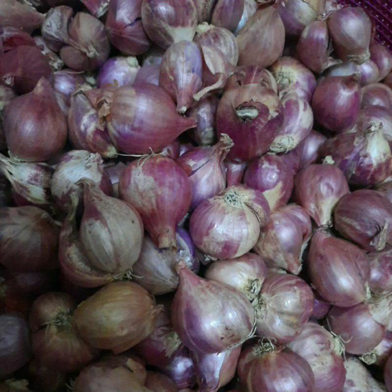 

bawang merah lokal 1/2 kg