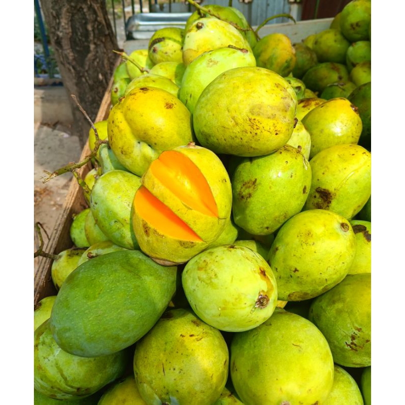 

mangga indramayu 1 kg