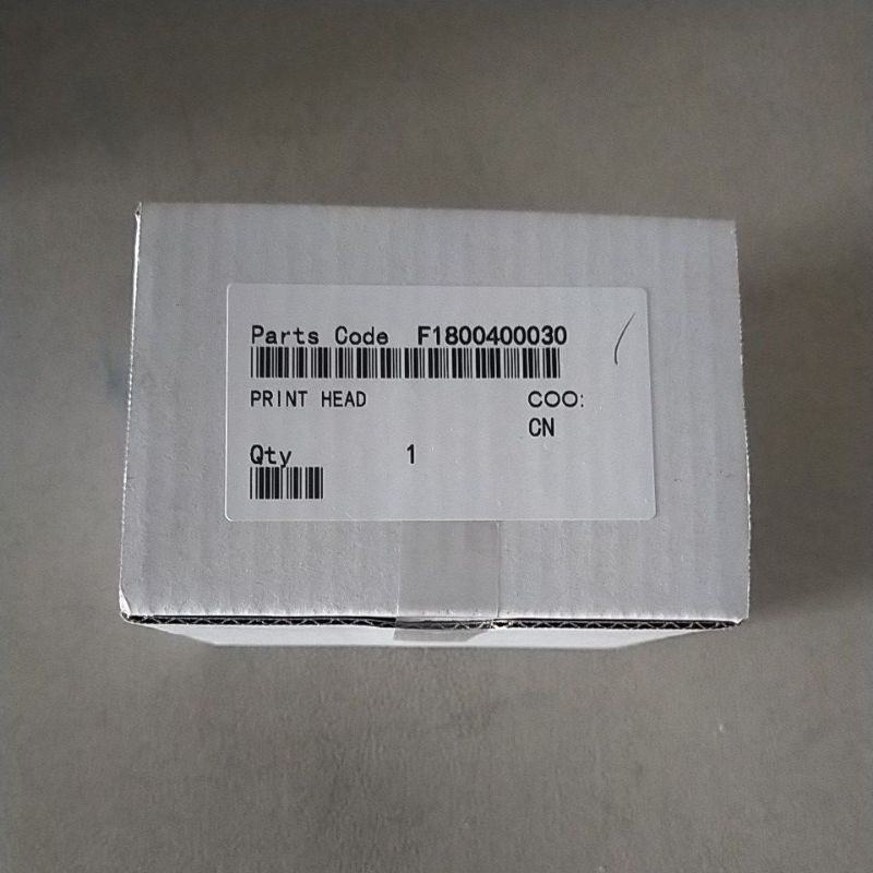 Print head Epson L800 L805