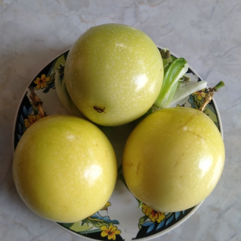 

Buah Markisa segar (1kg) termurah dipetik ketika ada orderan masuk
