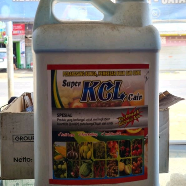 PUPUK CAIR KCL 5LITER ASLI ORI