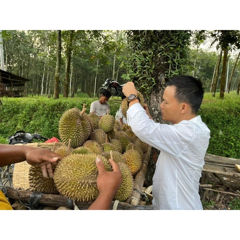 

durian montong