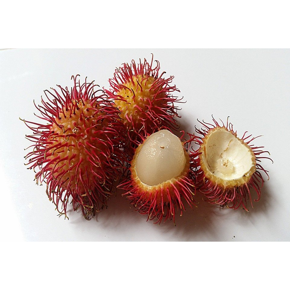 

Buah Rambutan Manis Fresh 1kg Mudah Dikupas Digigit Tanpa Kulit Lotok Kilo