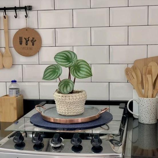 Keramik Mustika 10x20 Putih Glossy Bevel - Keramik Dinding Dapur