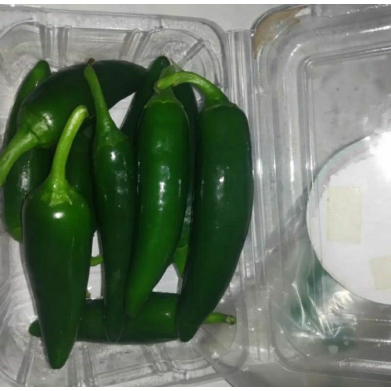 

Cabe Gendot Jalapeno Highland Cabai Jalapeno Fresh