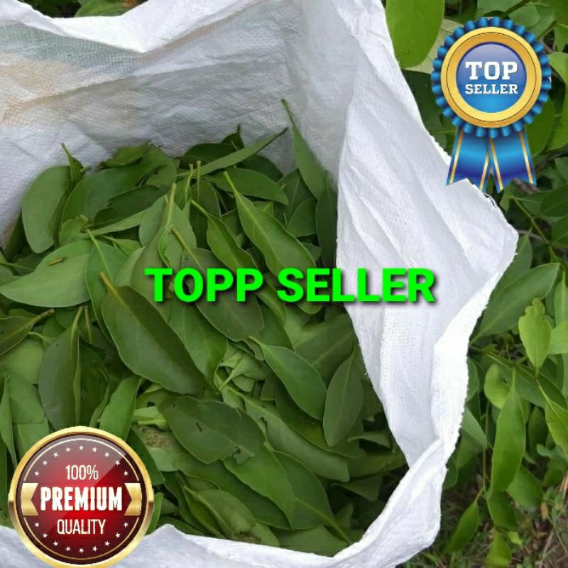 

BENALU KAWISTA KERING HIJAU SUPER PREMIUM 1 KG