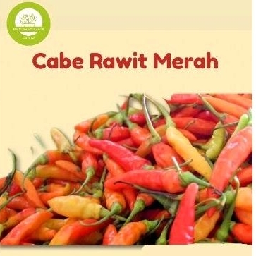 

Cabe Rawit Merah segar fresh 250gr