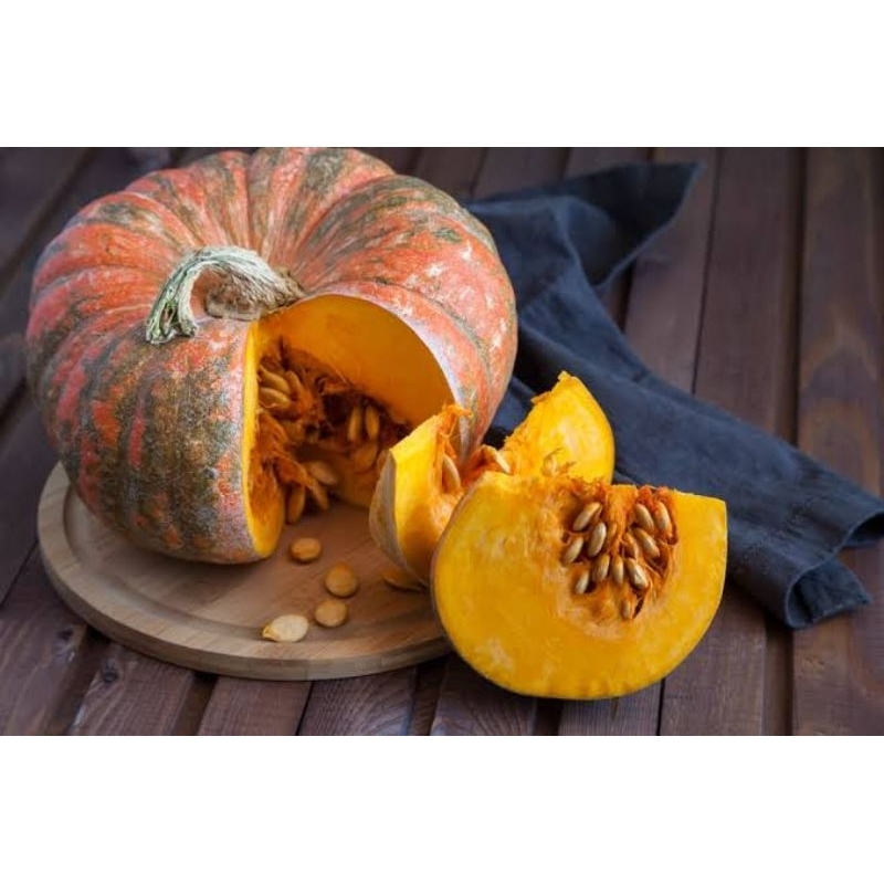 

LABU KUNING WALUH KUNING SURABAYA