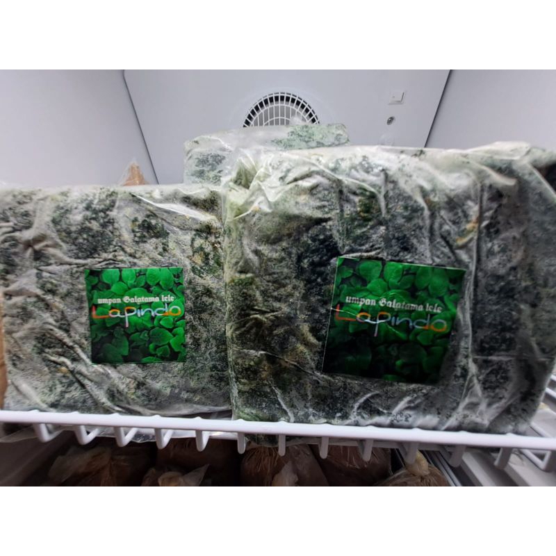 Umpan Lapindo 300gram,Umpan Galatama Lele siap pakai