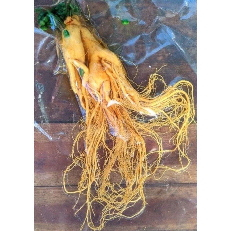 

gingseng merah korea impor