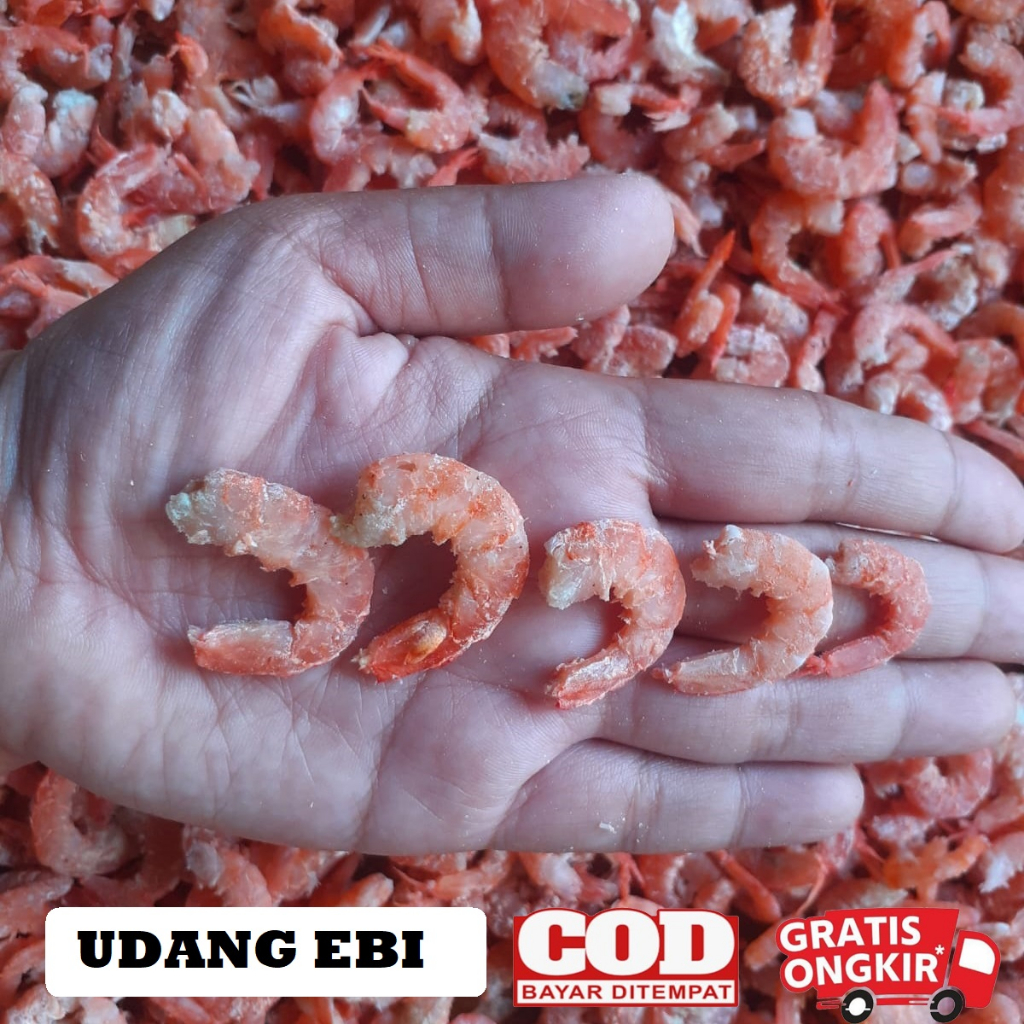 

Udang ebi rebus kering 100% rasa tidak terlalu asin / penambah cita rasa makanan / msg alami