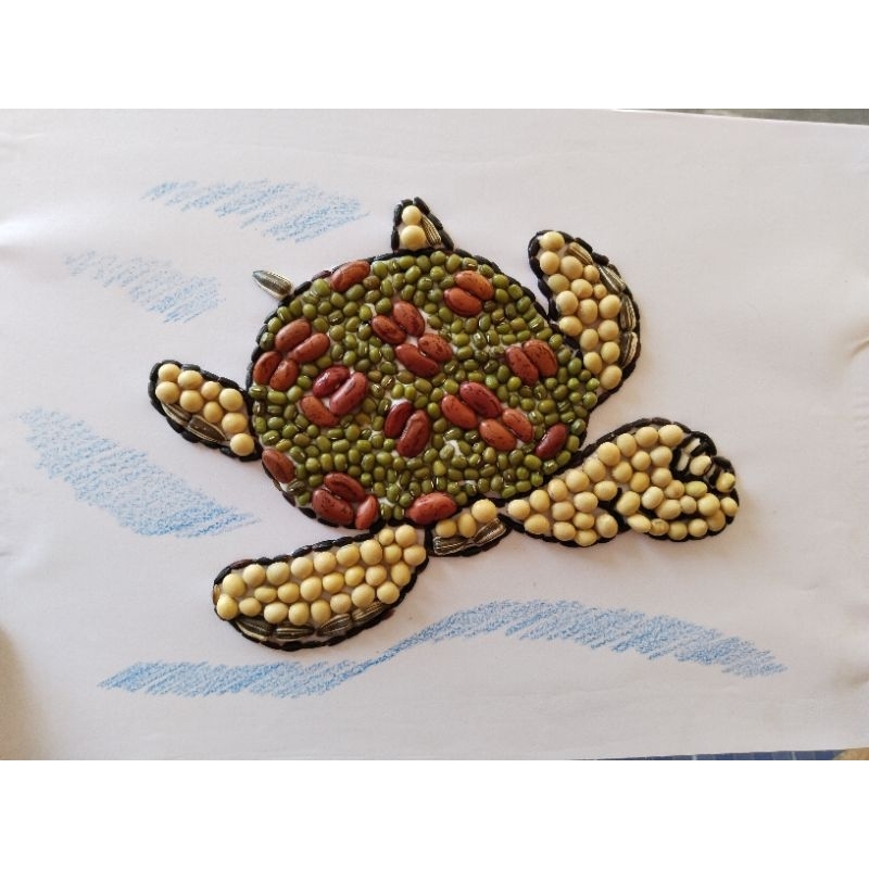 kolase biji bijian penyu prakarya sekolah