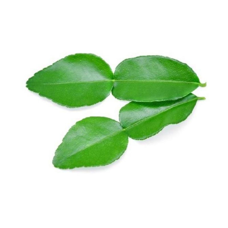 

Daun Jeruk Purut (Bumbu) per lembar