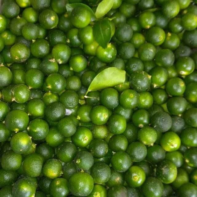 

✔️READY Jeruk Sonkit 1 Kg / Jeruk Sonket Kemasan Baru / Jeruk Sonket Langsung Petik