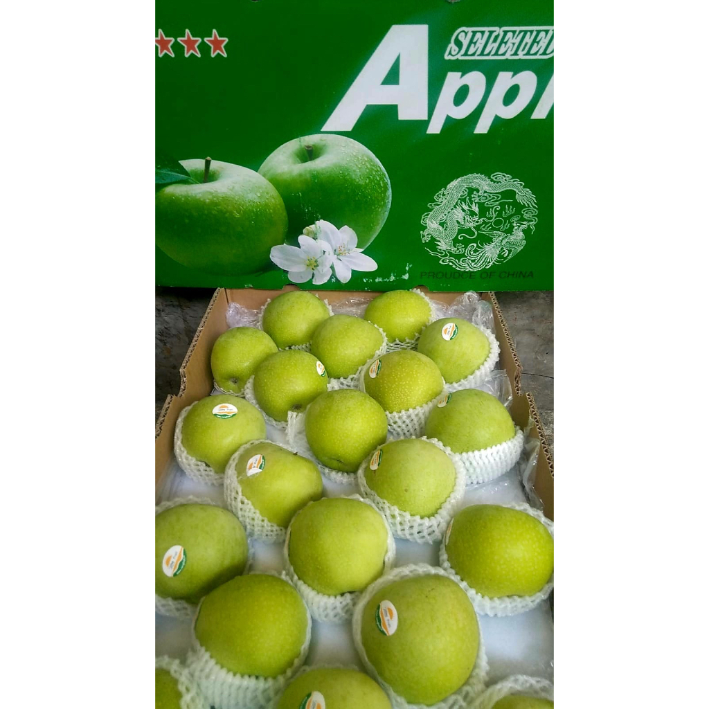 APEL HIJAU GREEN APPLE FRESH IMPORT PER DUS