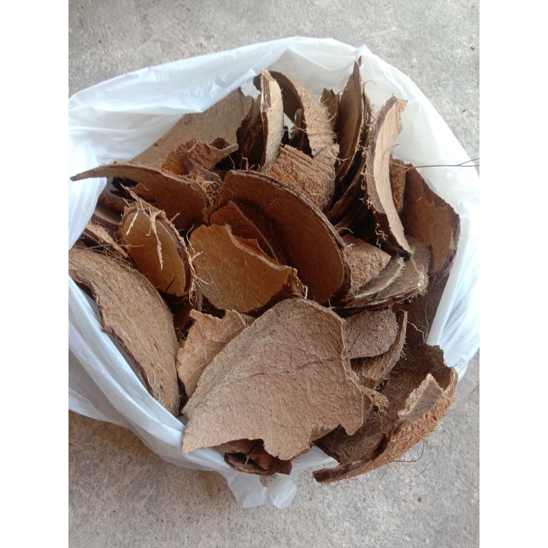 

batok kelapa pecah/bahan arang kelapa pecah