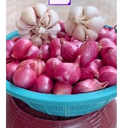 

BAWANG MERAH BERKWALITAS 1KG ( tanggung)