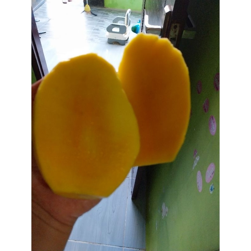 

mangga