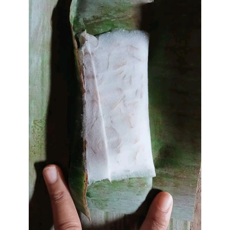 

Tempe benguk Kulonprogo