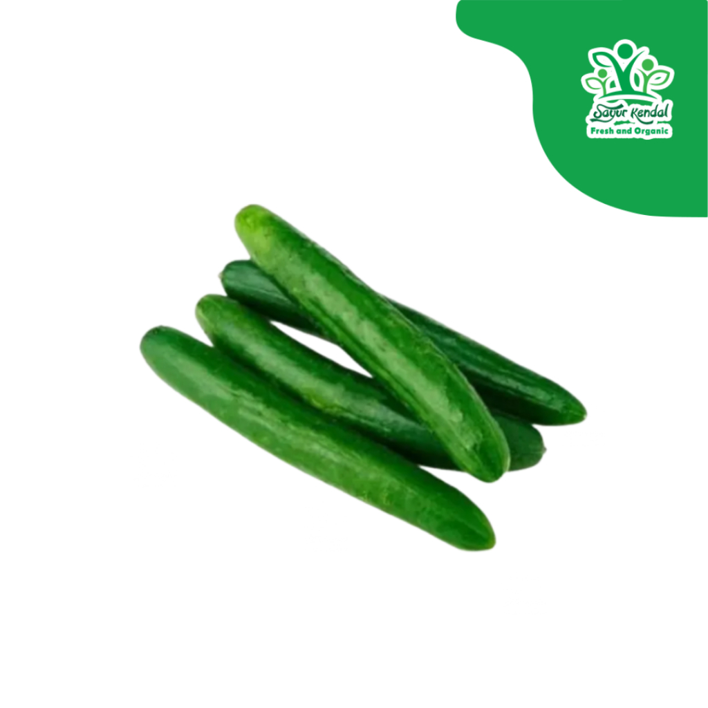 

Kyuri / Timun Jepang - Sayur Kendal