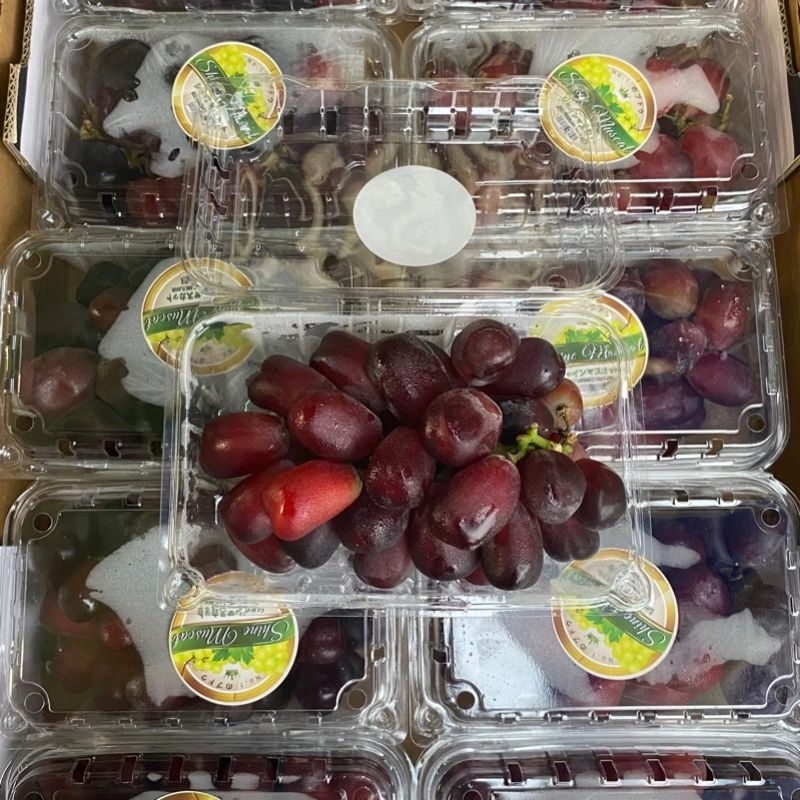 

Anggur Shine Muscat Red Pack