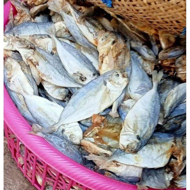 

ikan peda