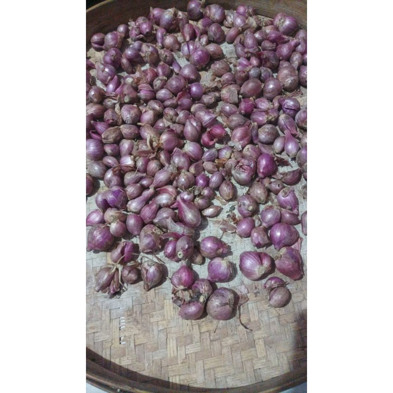 

bawang merah