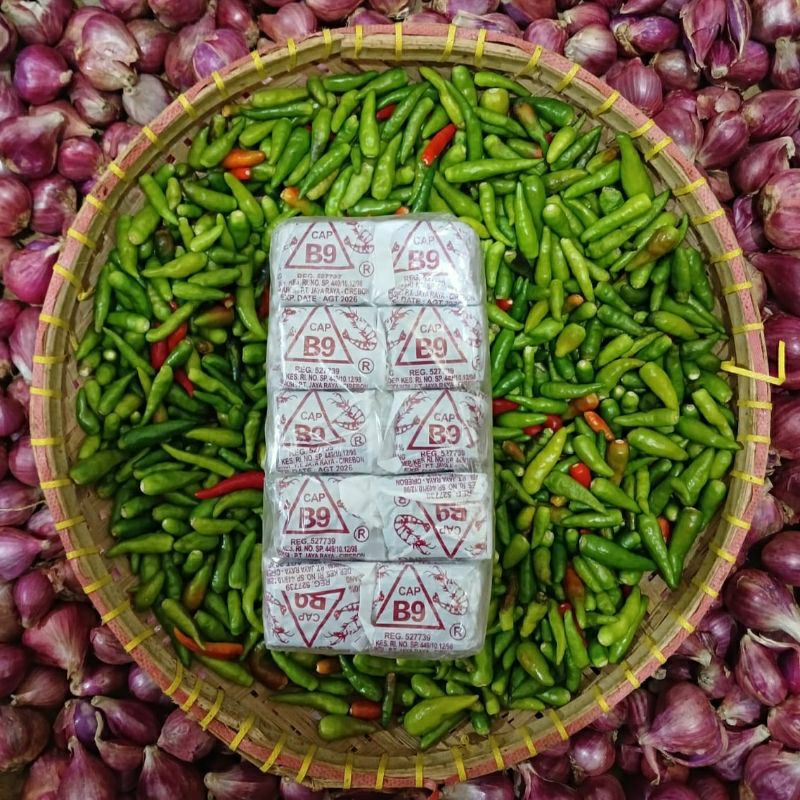 

Terasi B9 Pack Isi 10 Pcs