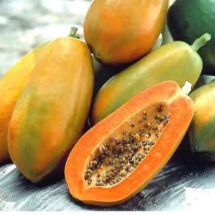Pepaya taiwan/kg