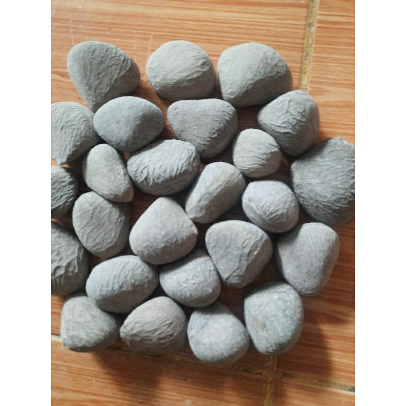 

Kluwek | Rempah-rempah MURAH